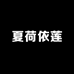 夏荷依莲