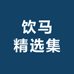 饮马瀚海精品集