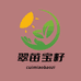 翠苗宝籽园艺店