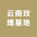 云南基地供应