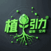 植引力绿植空间