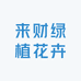 来财绿植花卉