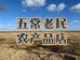 五常市张老民子水稻种植家庭农场