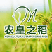 农皇之稻