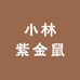 小林紫金鼠