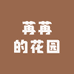 苒苒的花园