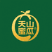 天山黄金蜜瓜