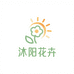 昆明沐浴阳光鲜花绿植精选