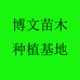 博文苗木专营店