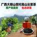 上林大明山樊村茶坊