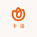 卡洛汽车精品企业店