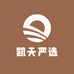 凯天严选
