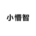 小懵智严选