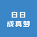 白日成真梦