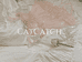Catcatchshop