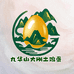 九华山大刚土鸡蛋
