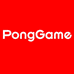 PongGame海外专营店