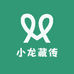 小龙藏传