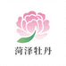 菏泽种植牡丹大基地