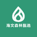 海文森林甄选