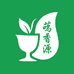 日照茗香源绿茶基地