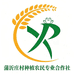 沂蒙山零食特产优品店