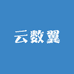 云数翼玩具
