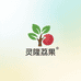 灵隆荔果树苗木专营店
