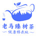 老马臻树茶