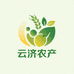 大掌柜滋补养生