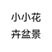 小小花卉盆景个体店