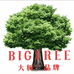大树BIGTREE鞋业欧美款式