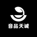 音品天诚乐器专营店