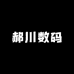 郝川数码