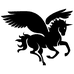 张家界天马易购电子商务有限公司