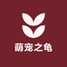 萌宠之龟