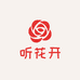 漳州市听花开三角梅