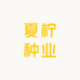 夏柠种业