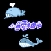 小鱼爱抽卡