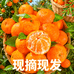 生鲜水果精选园