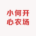 小何在农村