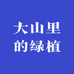 大山里的绿植