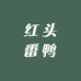 广西鹏程大种番鸭养殖场