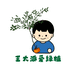 毛毛绿植
