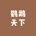 鹦鹉天下