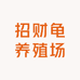 招财龟养殖场