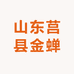 山东莒县金蝉