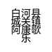 白河县城关镇阿康歌乐器行的小店