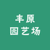 绿植基地批发场