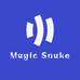 Magic Snake个护用具旗舰店